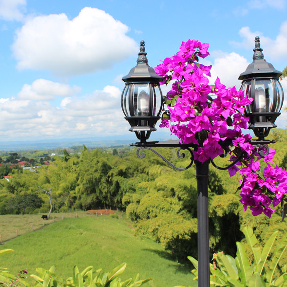koffiestreek colombia koffiedriehoek colombiaans.nl
