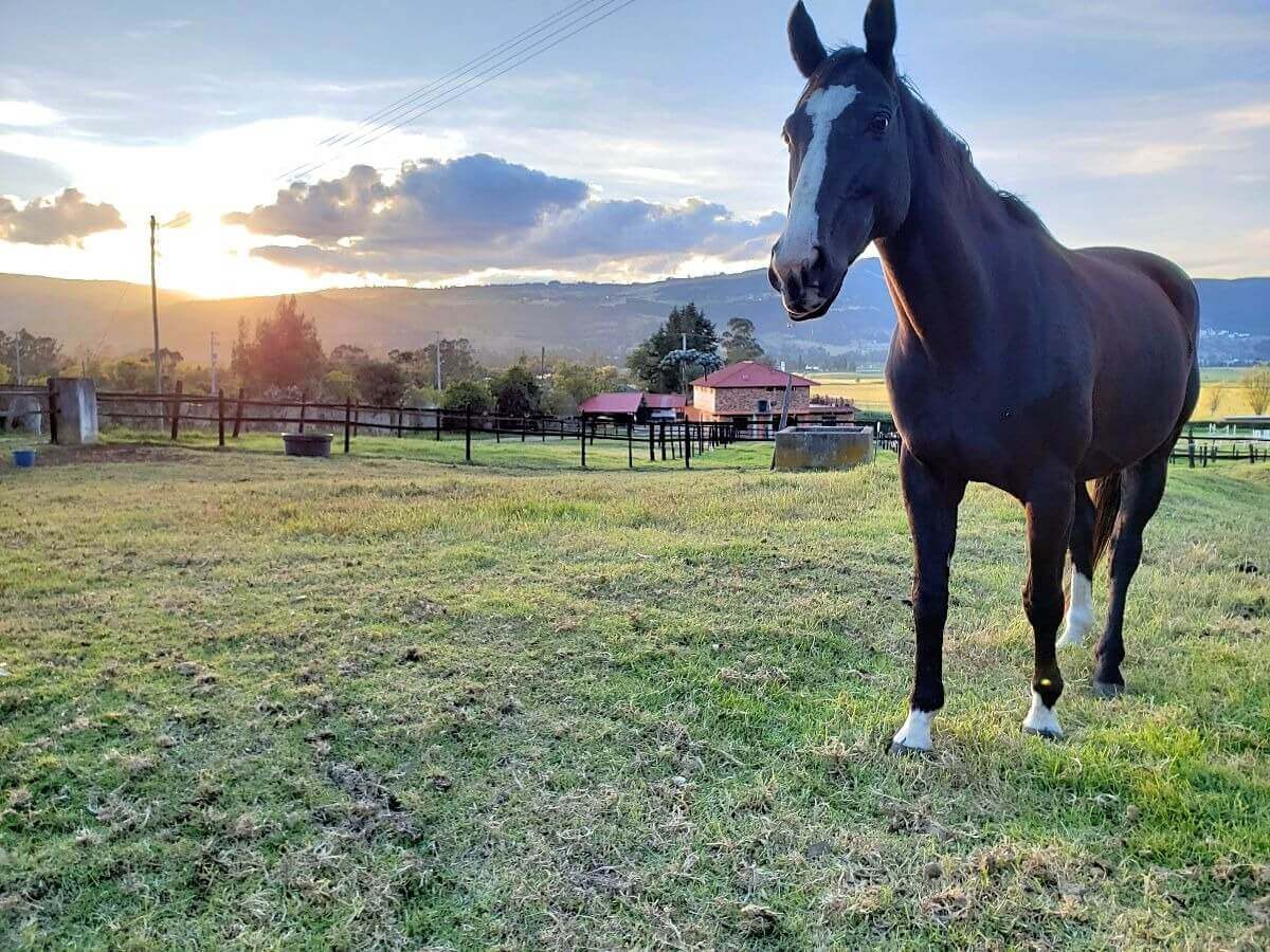 Nederlander in Colombia 15: Sabine