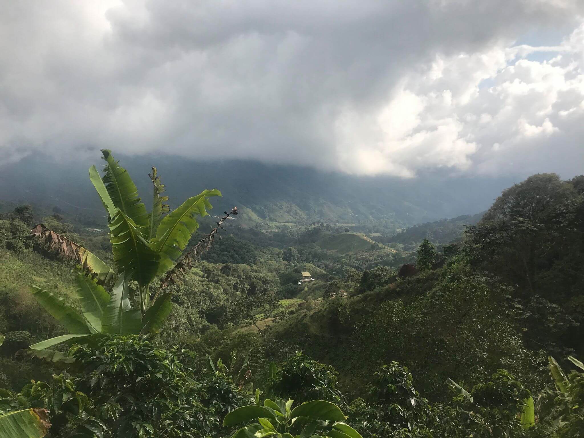 Op bezoek bij de koffieboeren van Colombia